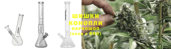 твердый Бородино