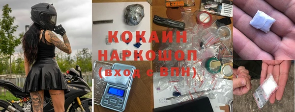 твердый Бородино