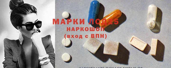 твердый Бородино