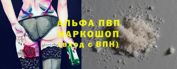 твердый Бородино